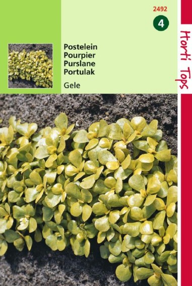 Postelein gele (Portulaca oleracea) 10000 zaden